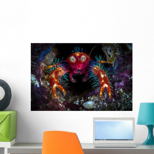 Olivar's Squat Lobster Peaking Wall Decal