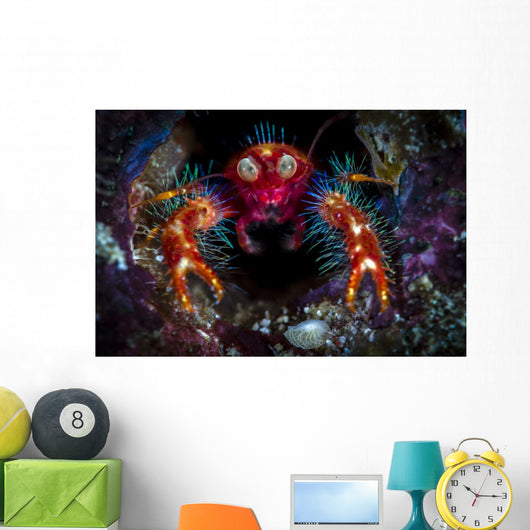 Olivar's Squat Lobster Peaking Wall Decal