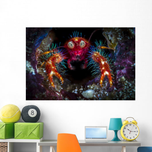 Olivar's Squat Lobster Peaking Wall Decal