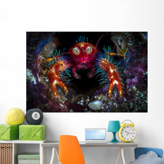 Olivar's Squat Lobster Peaking Wall Decal