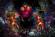 Olivar's Squat Lobster Peaking Wall Decal