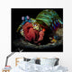 Peacock Mantis Shrimp Close-up Wall Decal