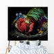 Peacock Mantis Shrimp Close-up Wall Decal