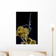 Sea Spider Anilao Philippines Wall Decal