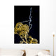 Sea Spider Anilao Philippines Wall Decal