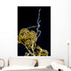 Sea Spider Anilao Philippines Wall Decal