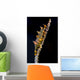 Dragon Shrimp Whip Coral Wall Decal