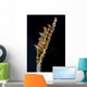 Dragon Shrimp Whip Coral Wall Decal