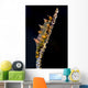 Dragon Shrimp Whip Coral Wall Decal