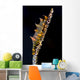 Dragon Shrimp Whip Coral Wall Decal