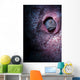 Unknown Blenny inside Barrel Wall Decal