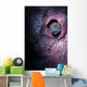 Unknown Blenny inside Barrel Wall Decal