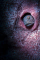 Unknown Blenny inside Barrel Wall Decal