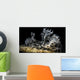 Snoot Shot Melibe Colemani Wall Decal