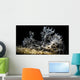 Snoot Shot Melibe Colemani Wall Decal