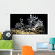 Snoot Shot Melibe Colemani Wall Decal