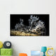 Snoot Shot Melibe Colemani Wall Decal