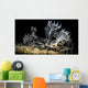 Snoot Shot Melibe Colemani Wall Decal