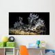 Snoot Shot Melibe Colemani Wall Decal