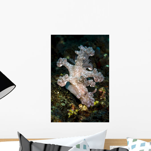 Allen's Ceratosoma Anilao Philippines Vertical Wall Decal