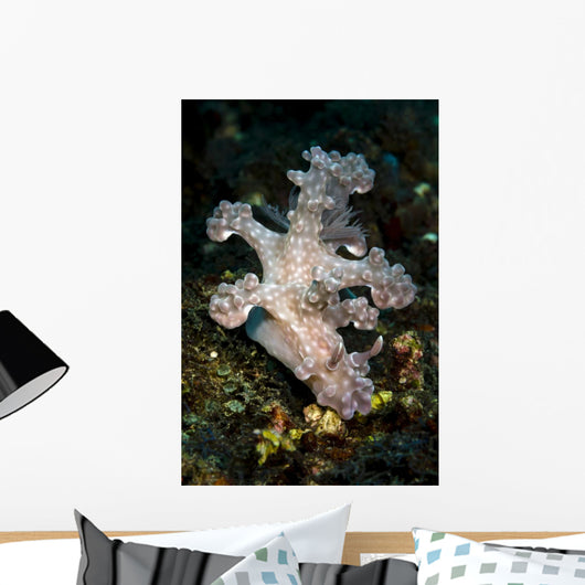 Allen's Ceratosoma Anilao Philippines Vertical Wall Decal