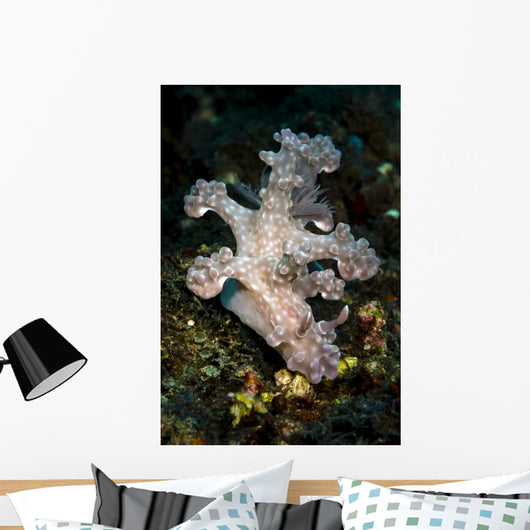 Allen's Ceratosoma Anilao Philippines Vertical Wall Decal