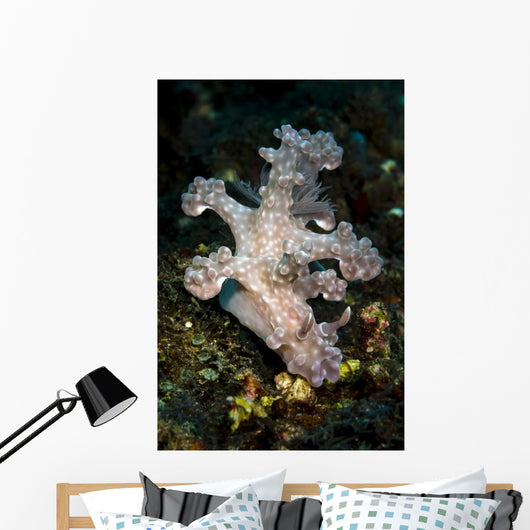 Allen's Ceratosoma Anilao Philippines Vertical Wall Decal