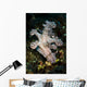 Allen's Ceratosoma Anilao Philippines Vertical Wall Decal