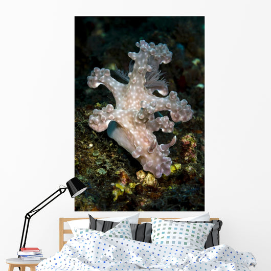Allen's Ceratosoma Anilao Philippines Vertical Wall Decal