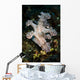 Allen's Ceratosoma Anilao Philippines Vertical Wall Decal