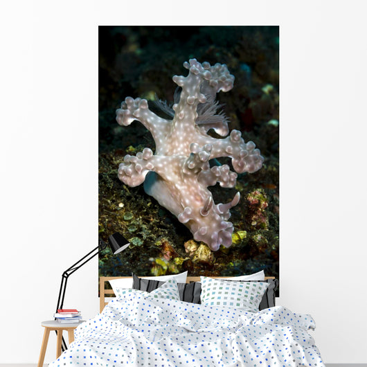 Allen's Ceratosoma Anilao Philippines Vertical Wall Decal