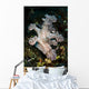 Allen's Ceratosoma Anilao Philippines Vertical Wall Decal