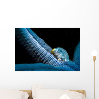 Parasitic Crystalline Sea Star Wall Decal shown on a wall