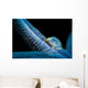 Parasitic Crystalline Sea Star Wall Decal