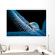 Parasitic Crystalline Sea Star Wall Decal