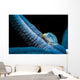 Parasitic Crystalline Sea Star Wall Decal