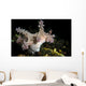 Allen's Ceratosoma Anilao Philippines Wall Decal