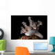 Allen's Ceratosoma Anilao Philippines Close-up Wall Decal