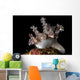 Allen's Ceratosoma Anilao Philippines Close-up Wall Decal