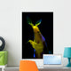 Headshot Male Ribbon Eel Wall Decal