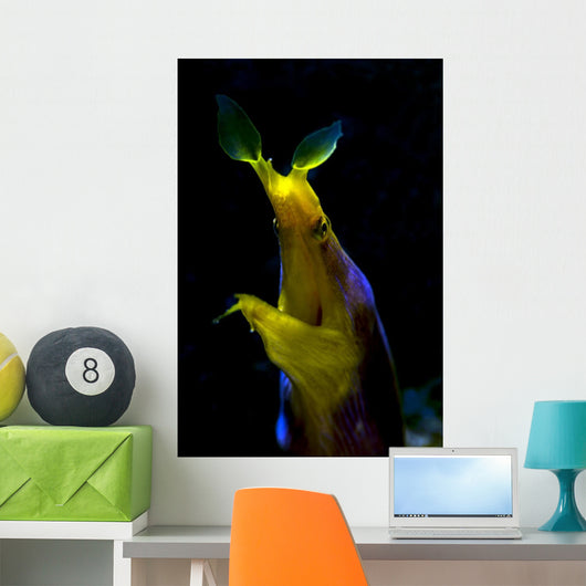 Headshot Male Ribbon Eel Wall Decal