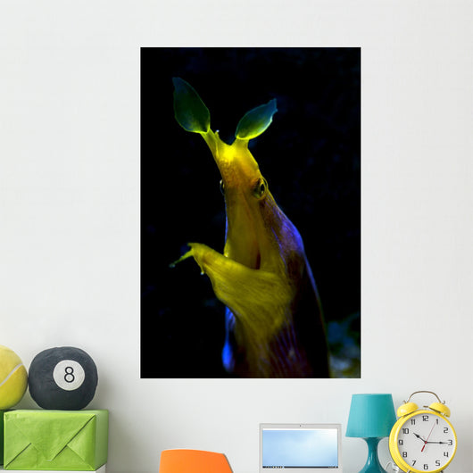 Headshot Male Ribbon Eel Wall Decal