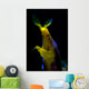 Headshot Male Ribbon Eel Wall Decal