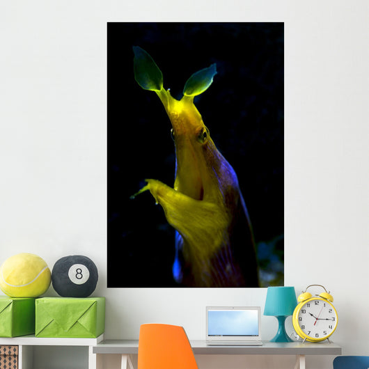 Headshot Male Ribbon Eel Wall Decal
