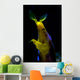Headshot Male Ribbon Eel Wall Decal