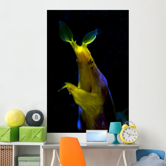 Headshot Male Ribbon Eel Wall Decal