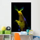 Headshot Male Ribbon Eel Wall Decal