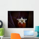 Headshot Mushroom Coral Shrimp Wall Decal