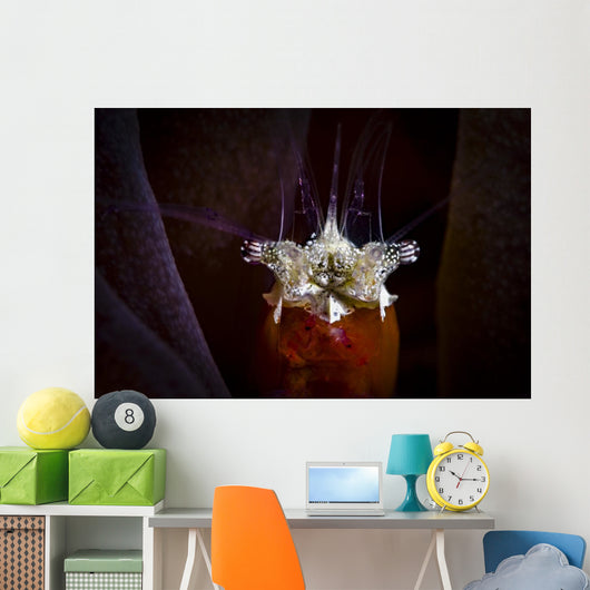 Headshot Mushroom Coral Shrimp Wall Decal