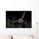 Black Coral Crab with Wall Decal